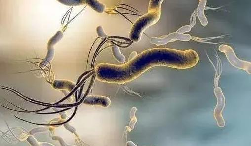 胃病元凶疑云：幽门螺杆菌是真凶还是冤枉？预防攻略全面解析！(图4)