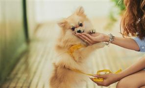 投资热点_中研普华行业研究网(图6)