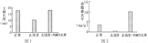 下列关于人体内环境稳态的叙述(图4)