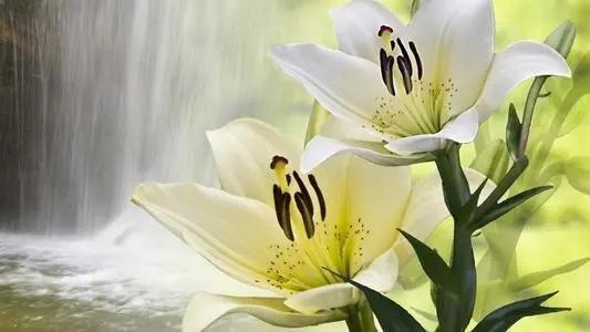 碱性食品助力尿酸排泄专家推荐4款这份清单你一定要知道(图2)