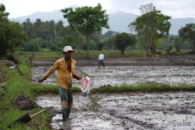 印度终于扛不住了求中国放宽尿素出口限制中方压根没正面回应(图7)