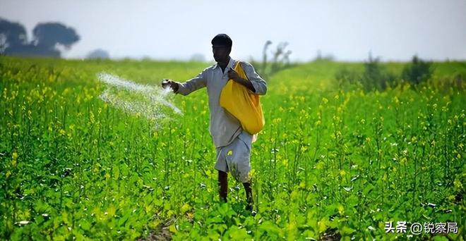 印度终于扛不住了求中国放宽尿素出口限制中方压根没正面回应(图20)