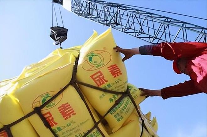 印度能不义中国不能不仁？印度求中国出口尿素该咋应对？(图3)