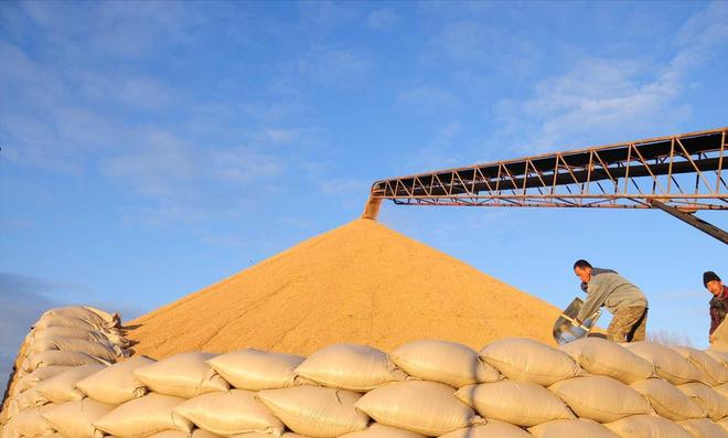 印度能不义中国不能不仁？印度求中国出口尿素该咋应对？(图10)