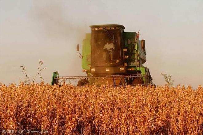 印度能不义中国不能不仁？印度求中国出口尿素该咋应对？(图19)