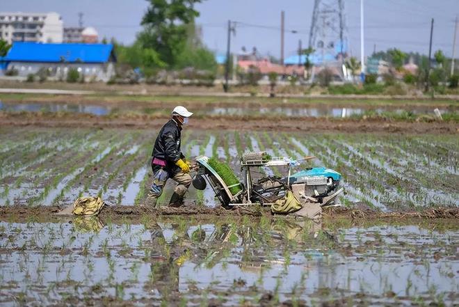 印度能不义中国不能不仁？印度求中国出口尿素该咋应对？(图20)