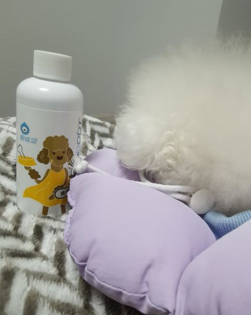 除臭喷雾排行2026：皮小兽夺雇按摩啃、臭味滚入围附数据(图3)