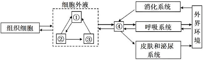 房水是由睫状体突产生的充满在眼前、后房内的一种透明清澈液体经后房-瞳孔-前房角排出进入血液。房水中蛋白质的含量仅为血浆中含量的1200葡萄糖约为血浆