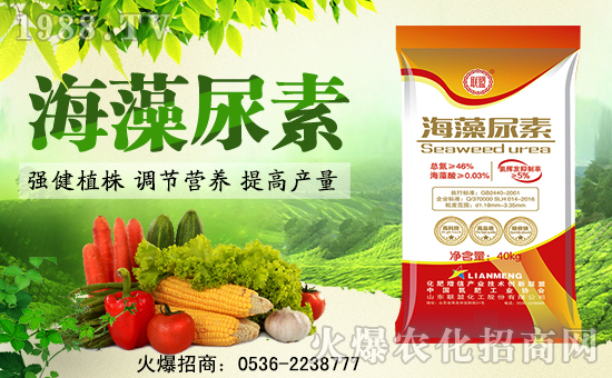 什么是海藻尿素？海藻尿素在水稻上的效果见证！(图2)
