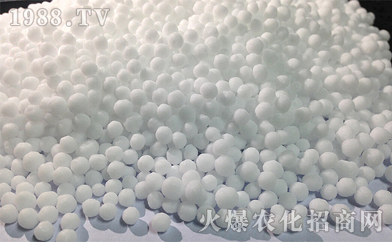 什么是海藻尿素？海藻尿素在水稻上的效果见证！(图3)