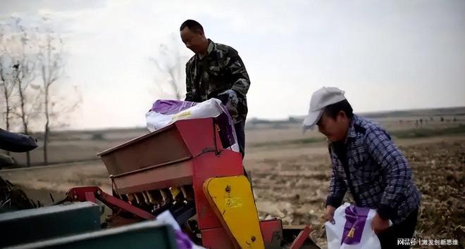 从霍尔木兹到中国西北：尿素如何在全球危机中稳住了“中国供给”(图7)