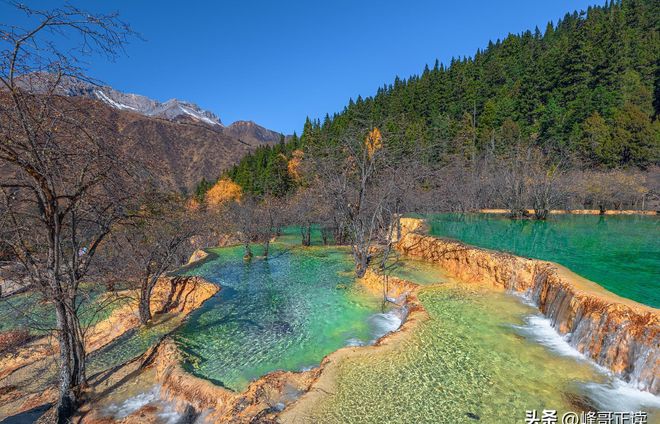 一泡尿“毁”了全家！男童尿进黄龙彩池景区硬气通报：永久禁入(图5)