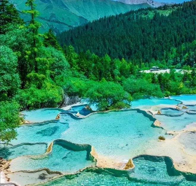 一泡尿“毁”了全家！男童尿进黄龙彩池景区硬气通报：永久禁入(图2)