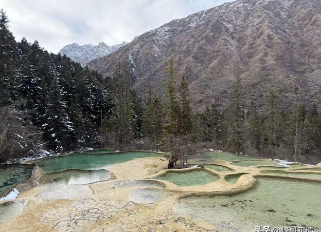 一泡尿“毁”了全家！男童尿进黄龙彩池景区硬气通报：永久禁入(图4)