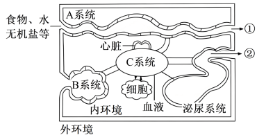 下图为体内细胞和内环境之间物质交换示意图(图2)