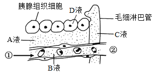 下图为体内细胞和内环境之间物质交换示意图(图8)