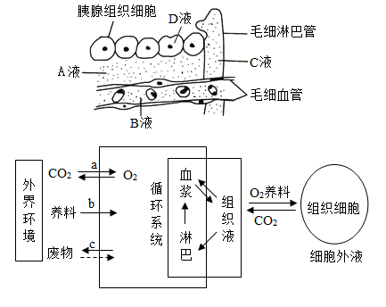 下图为体内细胞和内环境之间物质交换示意图(图9)