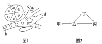 下图为体内细胞和内环境之间物质交换示意图(图4)