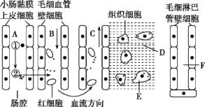 下图为体内细胞和内环境之间物质交换示意图(图5)