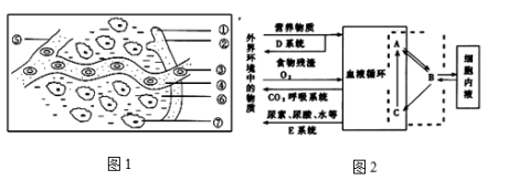 下图为体内细胞和内环境之间物质交换示意图(图10)
