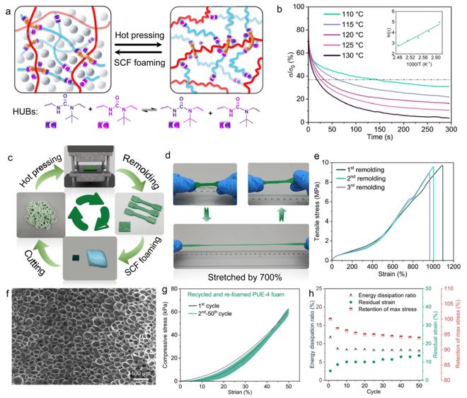 福建理工彭枢强、彭响方《自然·通讯》：动态交联互穿网络助力可持续3D打印弹性泡沫材料突破(图7)