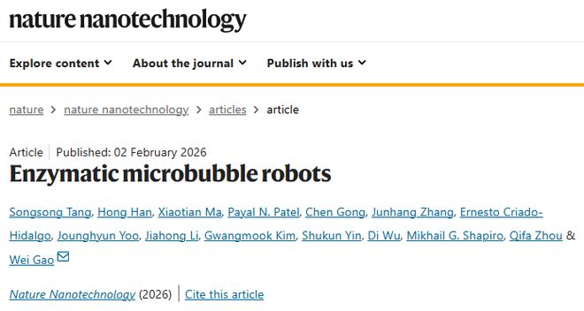 微气泡发了一篇NatureNanotechnology！(图1)