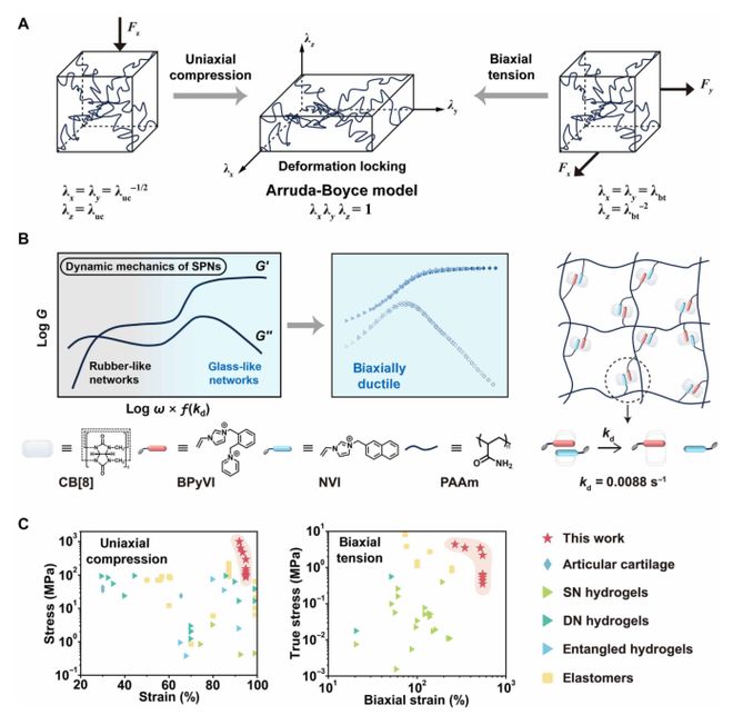 北京大学Science子刊：双向延展性超分子聚合物网络经得起汽车反复碾压30次！(图2)