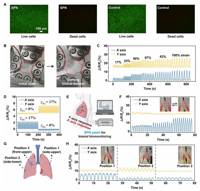 北京大学Science子刊：双向延展性超分子聚合物网络经得起汽车反复碾压30次！(图6)