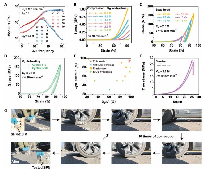 北京大学Science子刊：双向延展性超分子聚合物网络经得起汽车反复碾压30次！(图3)