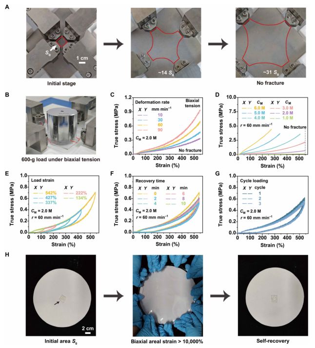 北京大学Science子刊：双向延展性超分子聚合物网络经得起汽车反复碾压30次！(图5)